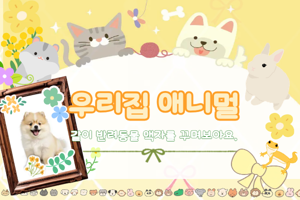 우리집 애니멀(반려동물 사진액자 꾸미기&소통의 시간)_내부일경험26-2 커뮤니티팀