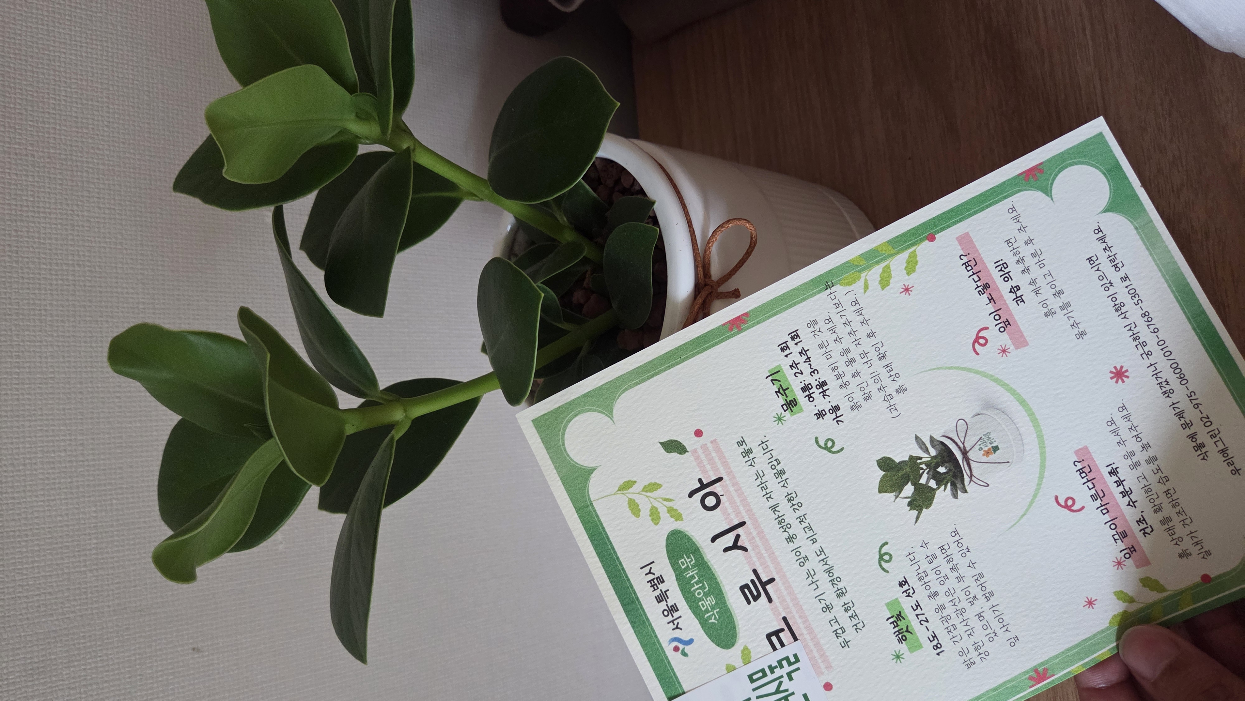 초록 배송